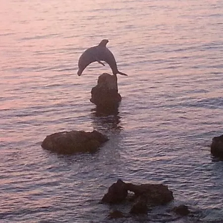 Antica Botte ベッド・アンド・ブレックファスト 4*