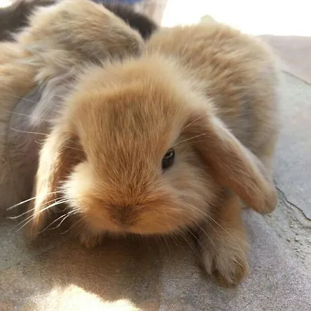 B&B Antica Botte Sassari Bed & Breakfast