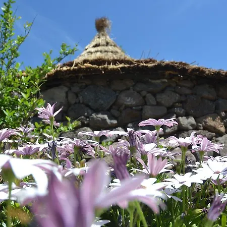 B&B Antica Botte Sassari Bed & Breakfast