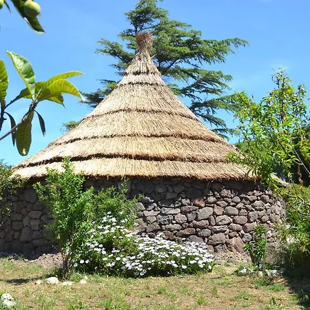 Bed & Breakfast B&B Antica Botte Sassari